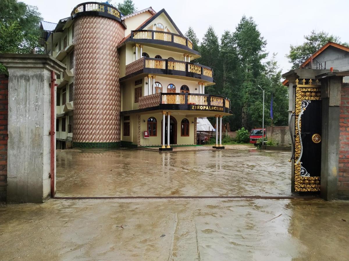 Ziro Palace Inn - A Boutique Hotel Hāpoli Exterior foto